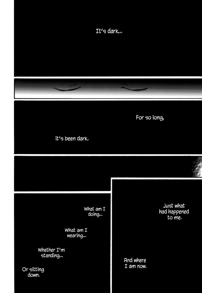 Torch Song Ecology 16 5