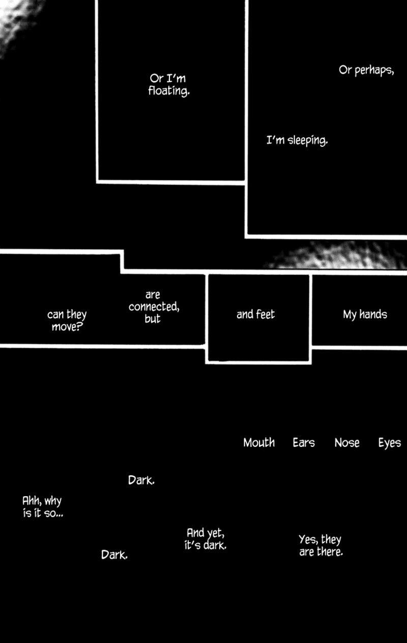 Torch Song Ecology 16 6