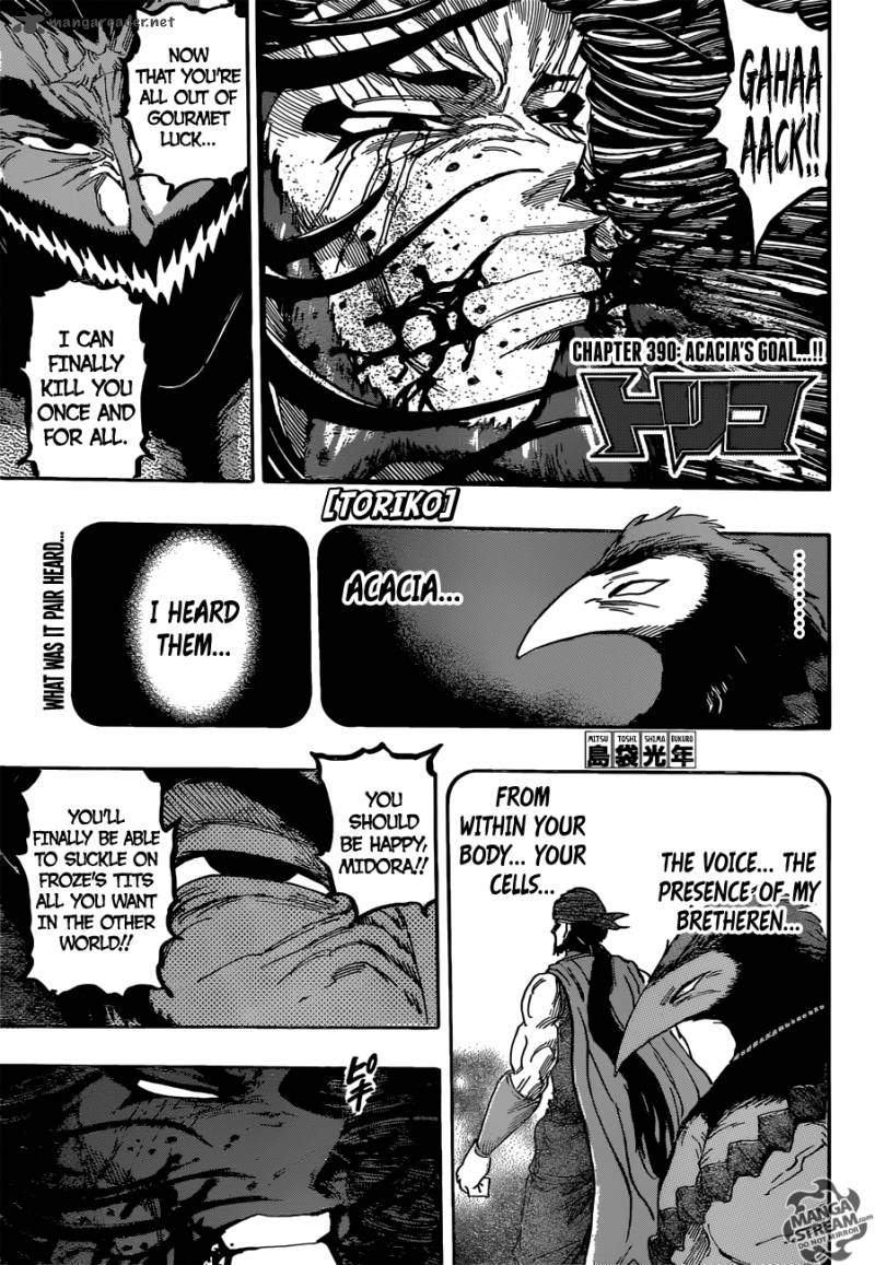 Toriko 390 1
