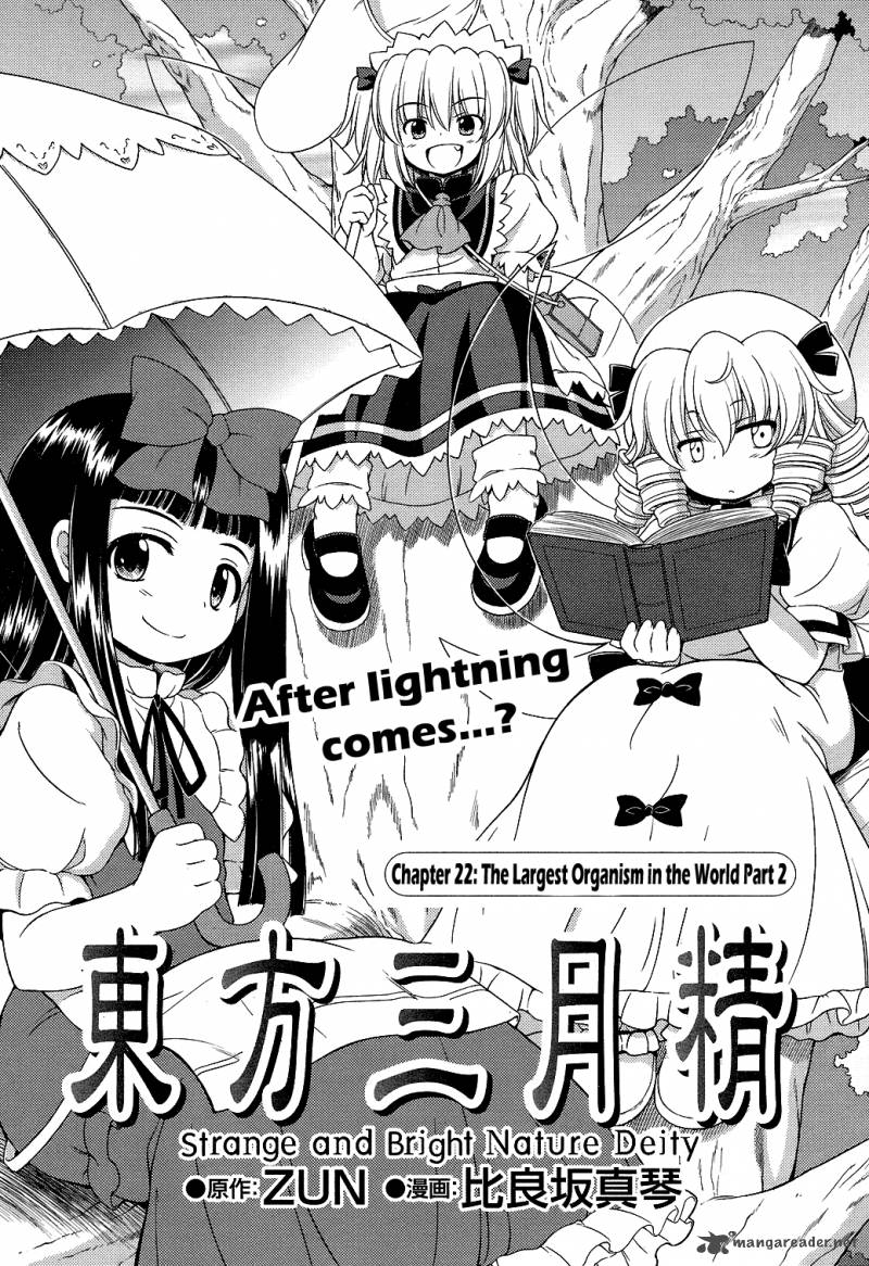 Touhou Sangetsusei Strange And Bright Nature Deity 22 1