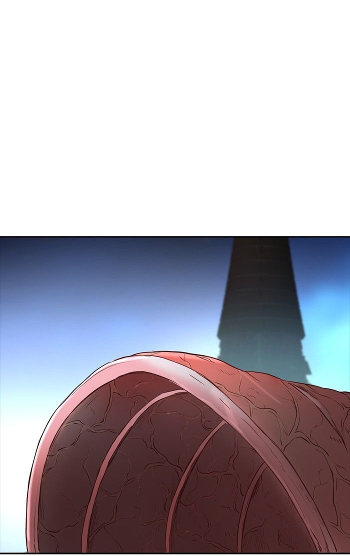 Tower Of God 335 45
