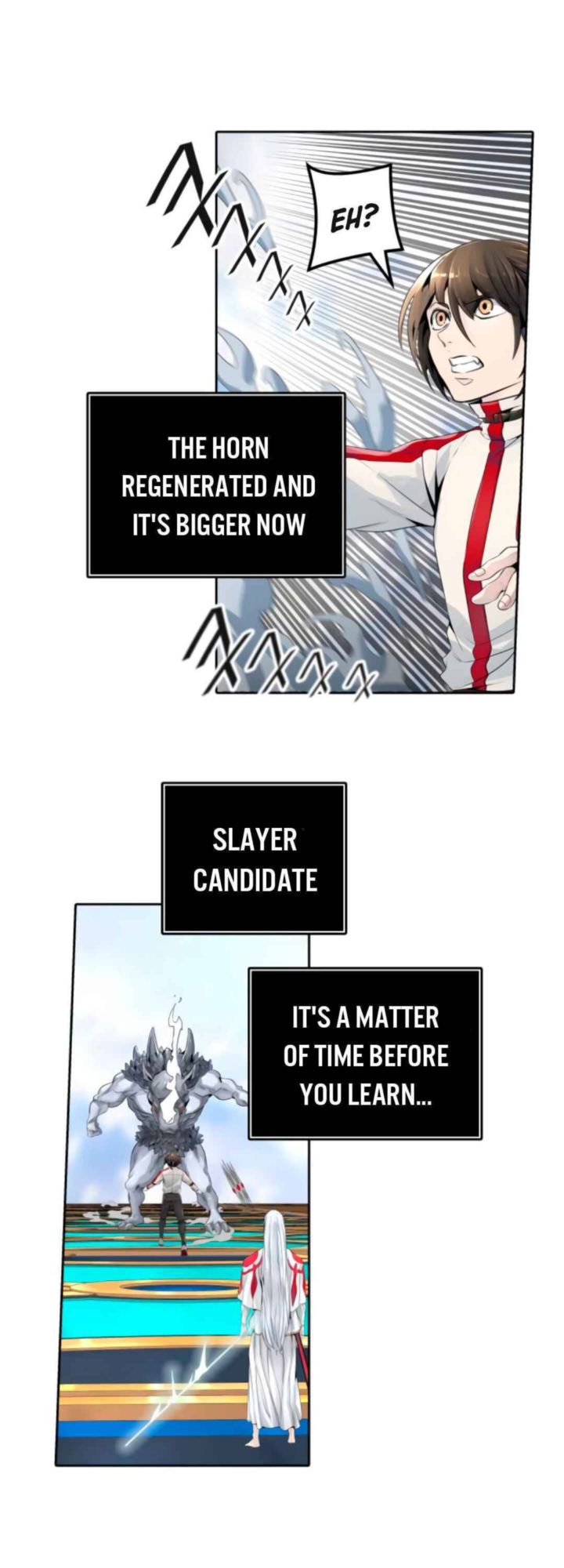 Tower Of God 494 123
