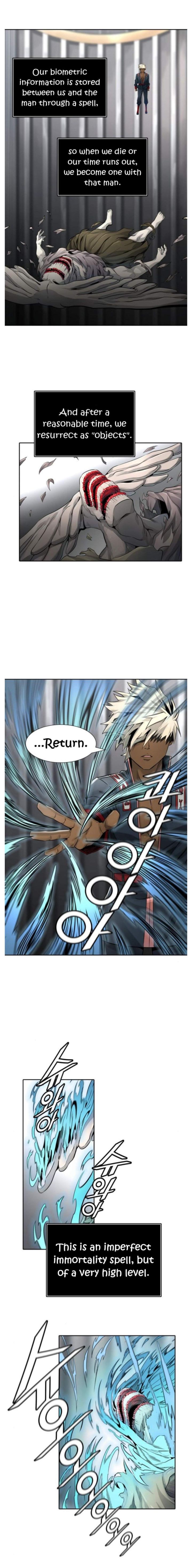 Tower Of God 495 3