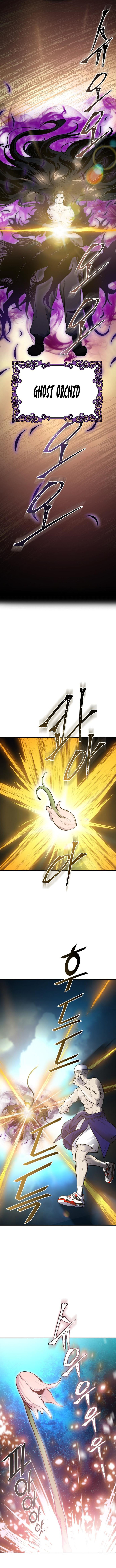Tower Of God 600 2
