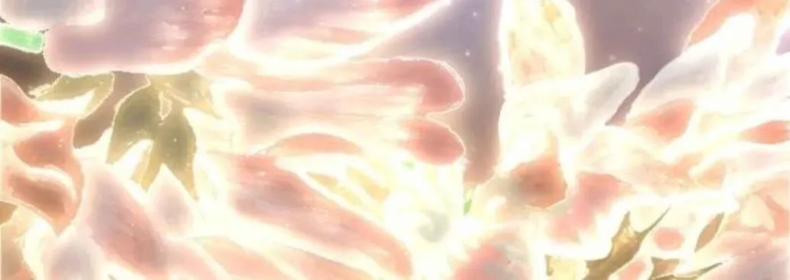 Transcension Academy 211 78