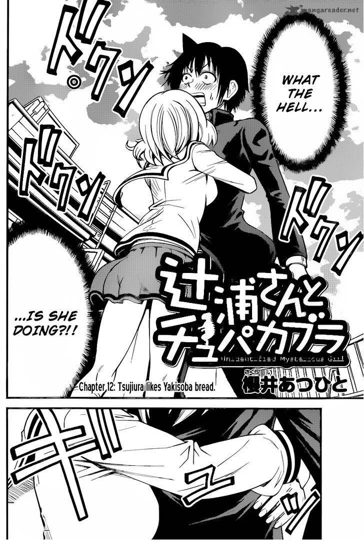 Tsujiura San To Chupacabra 12 3