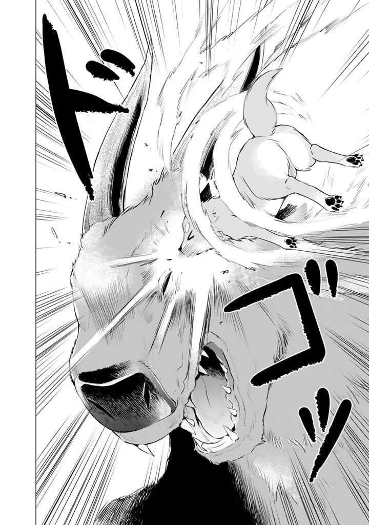 Uchi No Inu Ga Tsuyosugirun Desu Ga Tensei Shitara Megami Sama No Shukufuku De Sekai Wo Sukuu Koto Ni Narimashita 3 2