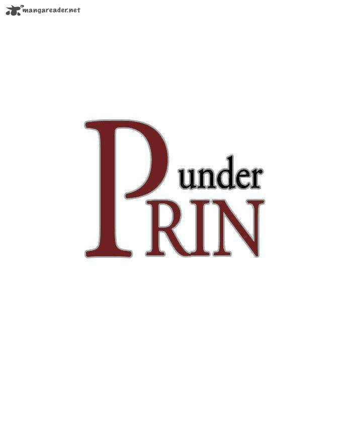 Under Prin 113 1