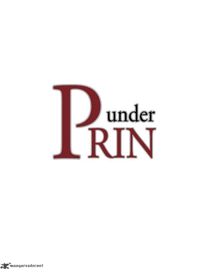 Under Prin 123 1