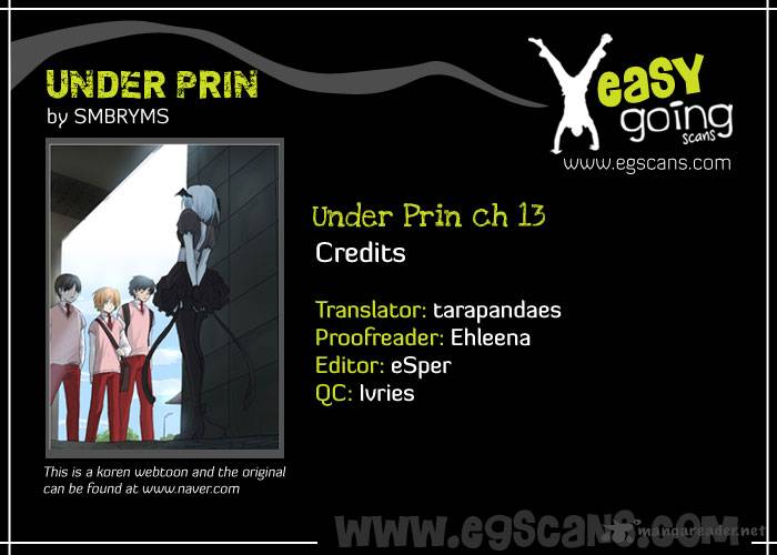 Under Prin 13 1