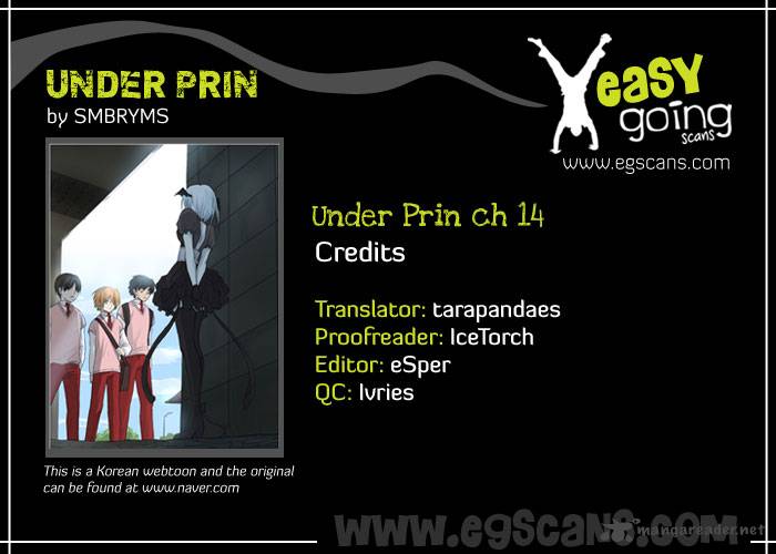 Under Prin 14 1