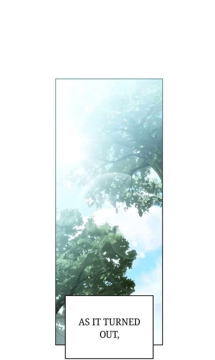 Under The Oak Tree 107 1
