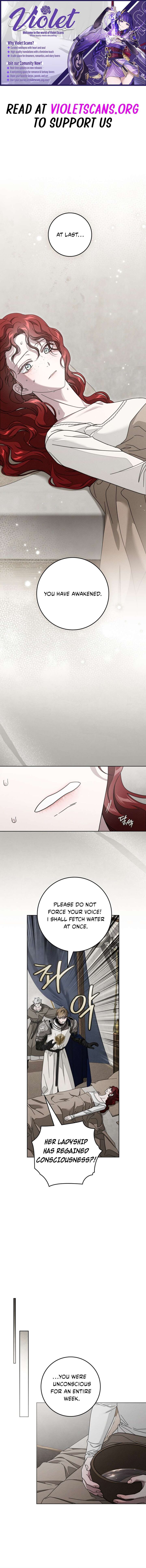 Under The Oak Tree 139 1