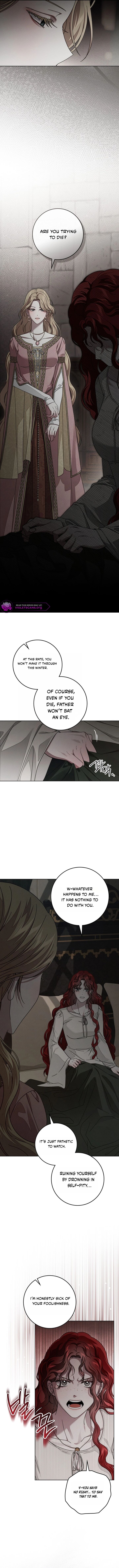 Under The Oak Tree 146 6