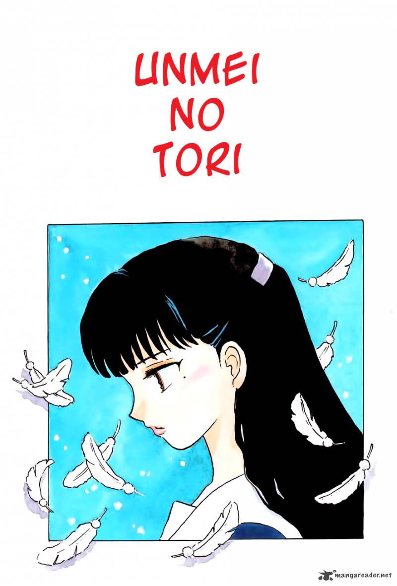 Unmei No Tori 3 1