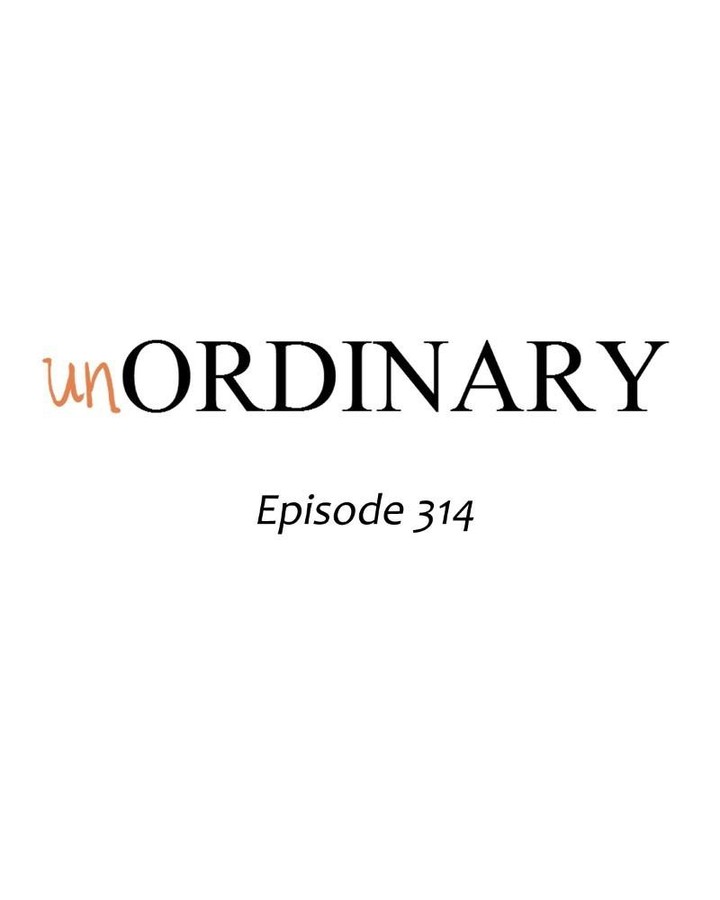 Unordinary 314 17