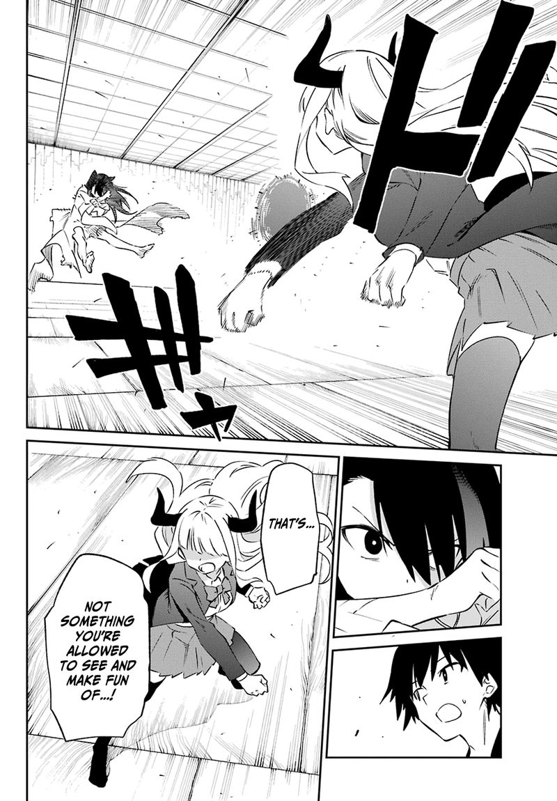 Urami Koi Koi Urami Koi 56 20