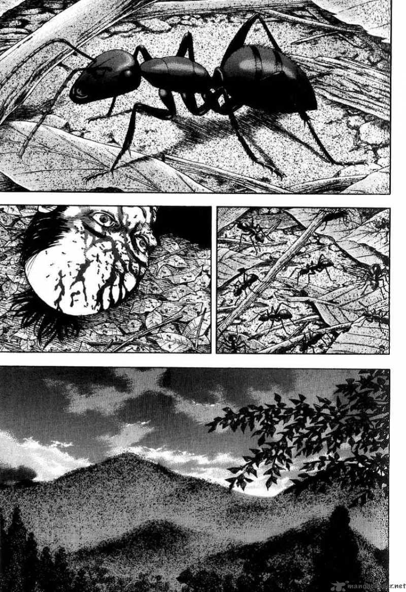 Vagabond 14 1