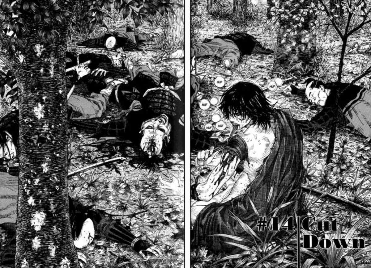 Vagabond 14 2
