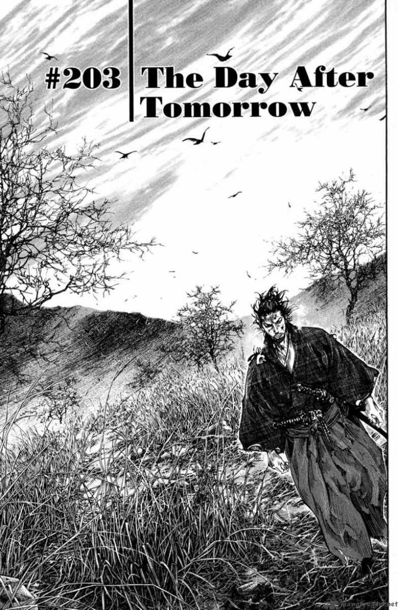 Vagabond 203 2