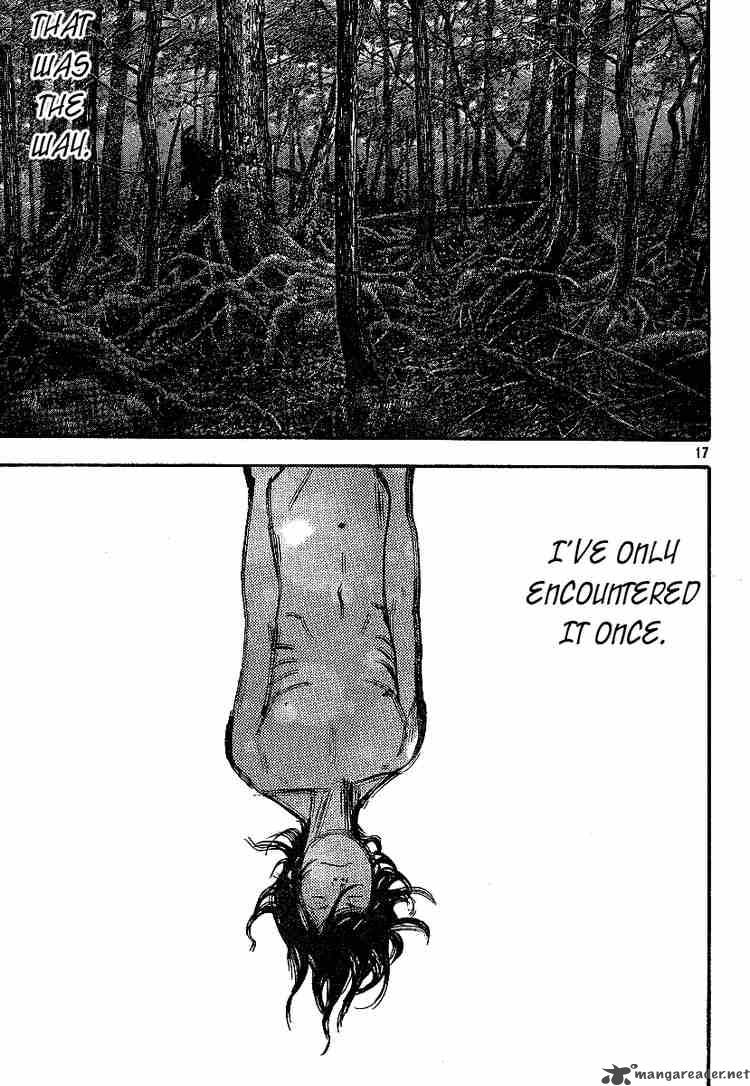 Vagabond 208 16