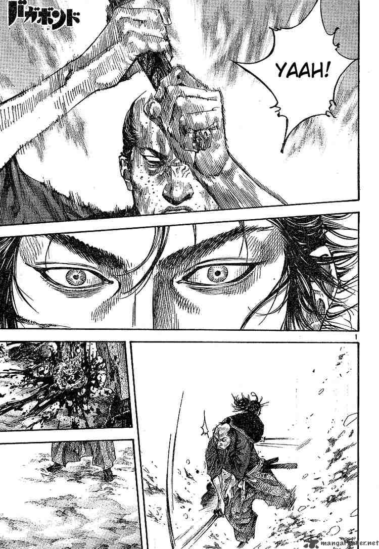 Vagabond 215 1