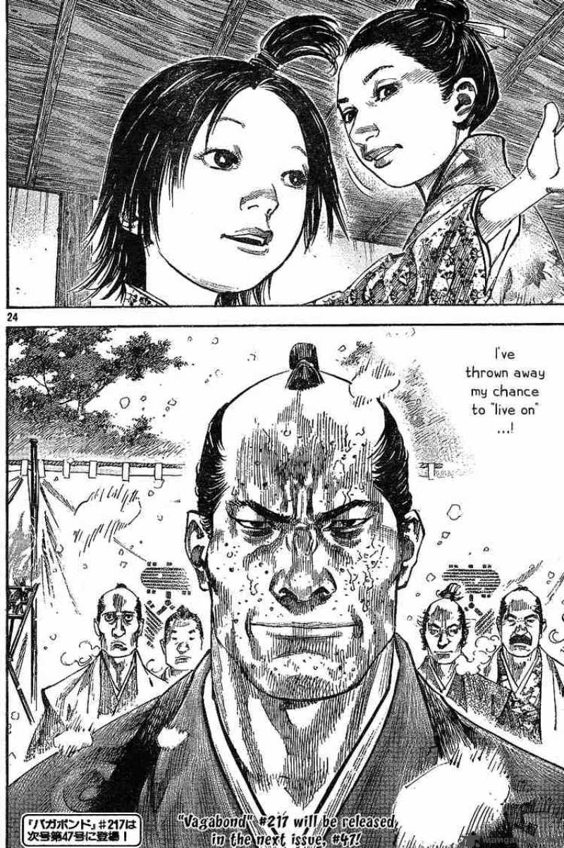 Vagabond 216 22
