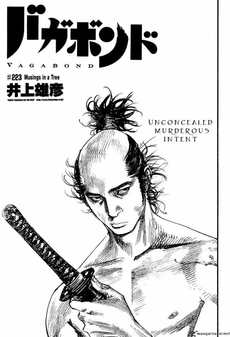 Vagabond 223 1