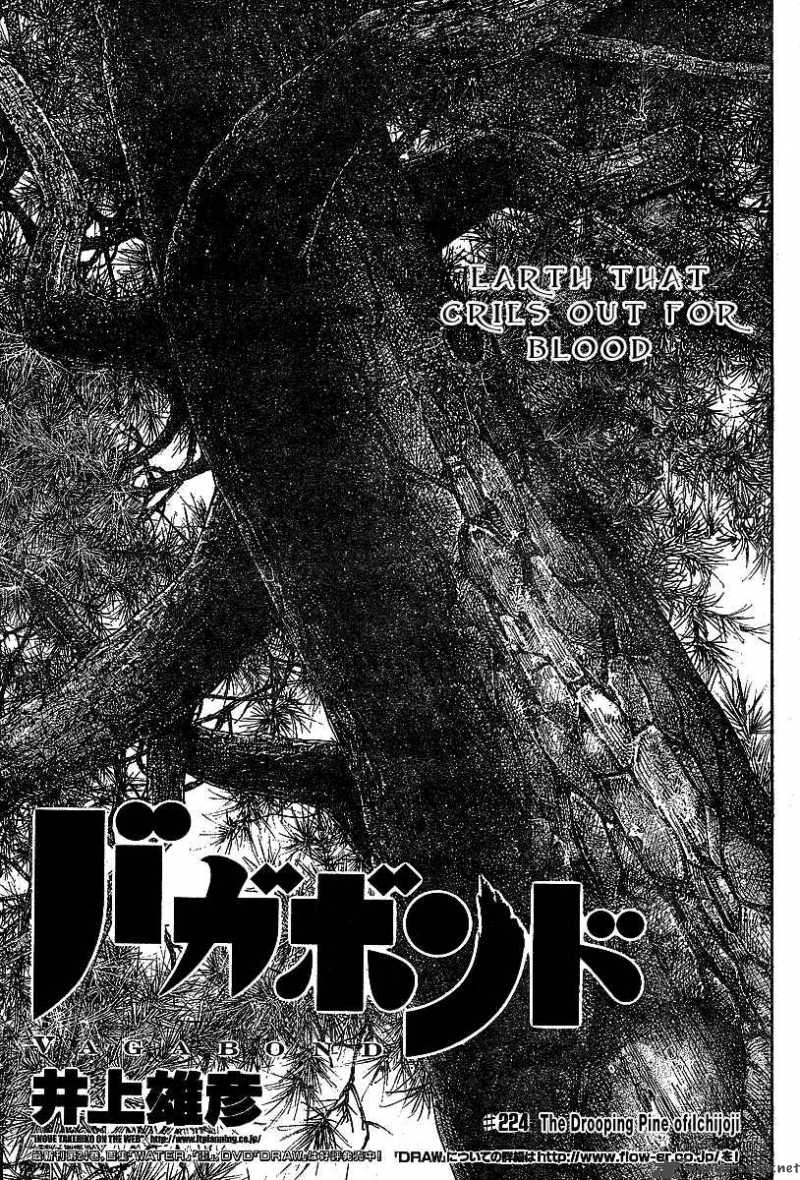 Vagabond 224 3