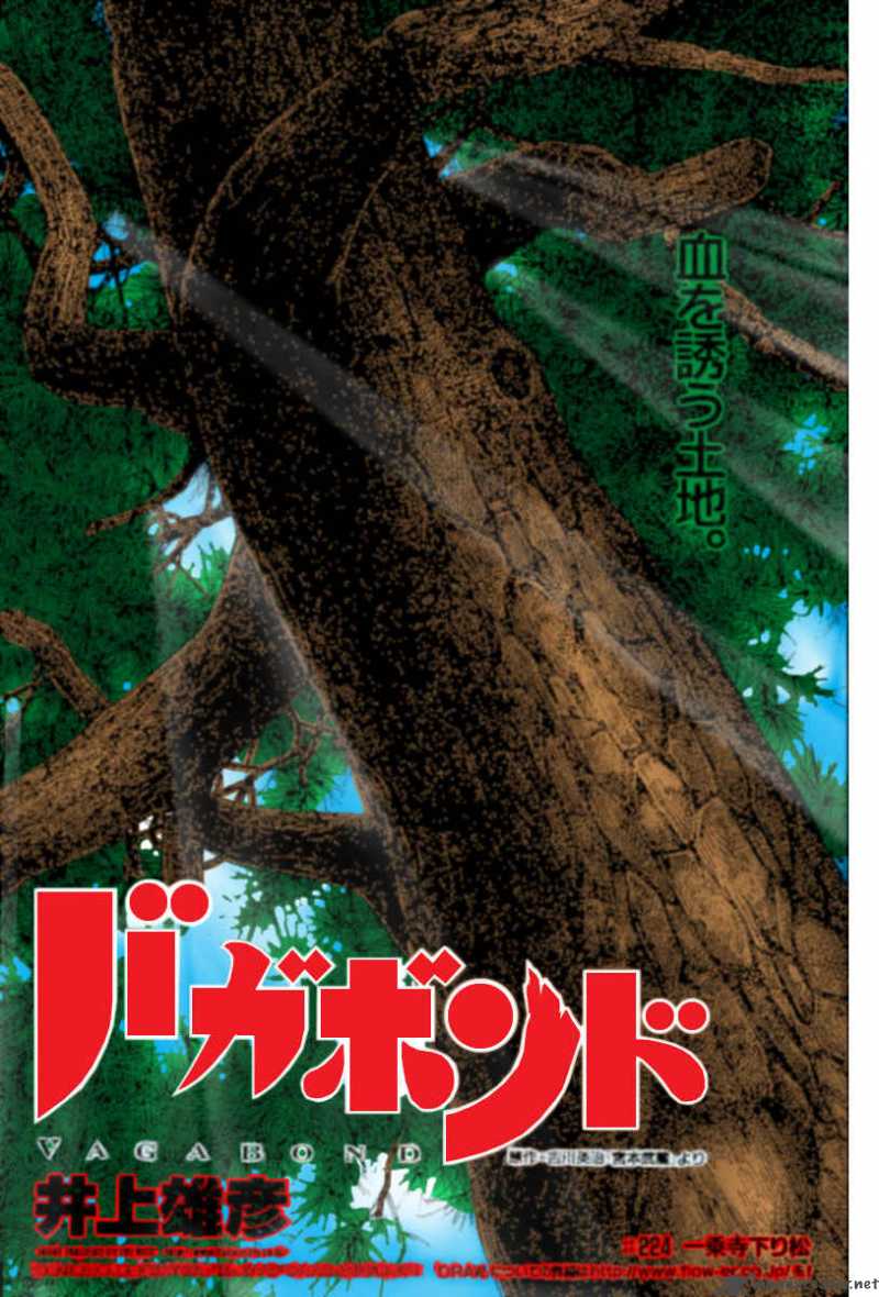 Vagabond 224 4