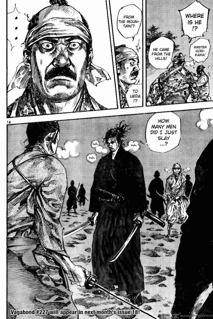 Vagabond 226 15