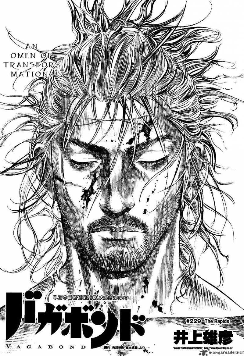 Vagabond 229 1