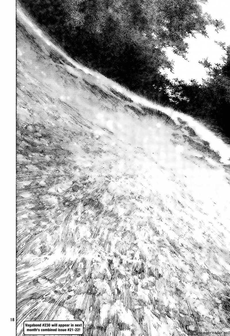 Vagabond 229 17