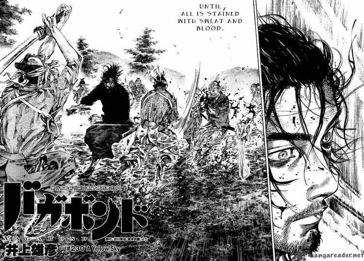 Vagabond 230 2