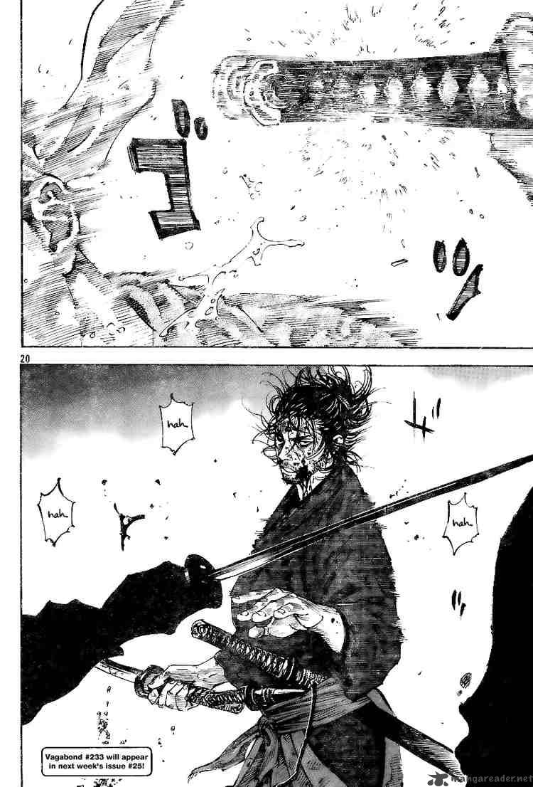 Vagabond 232 18