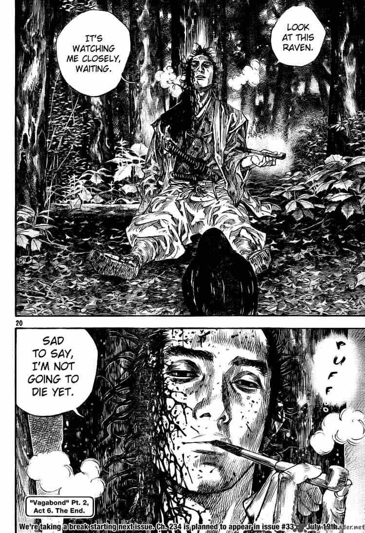 Vagabond 233 18