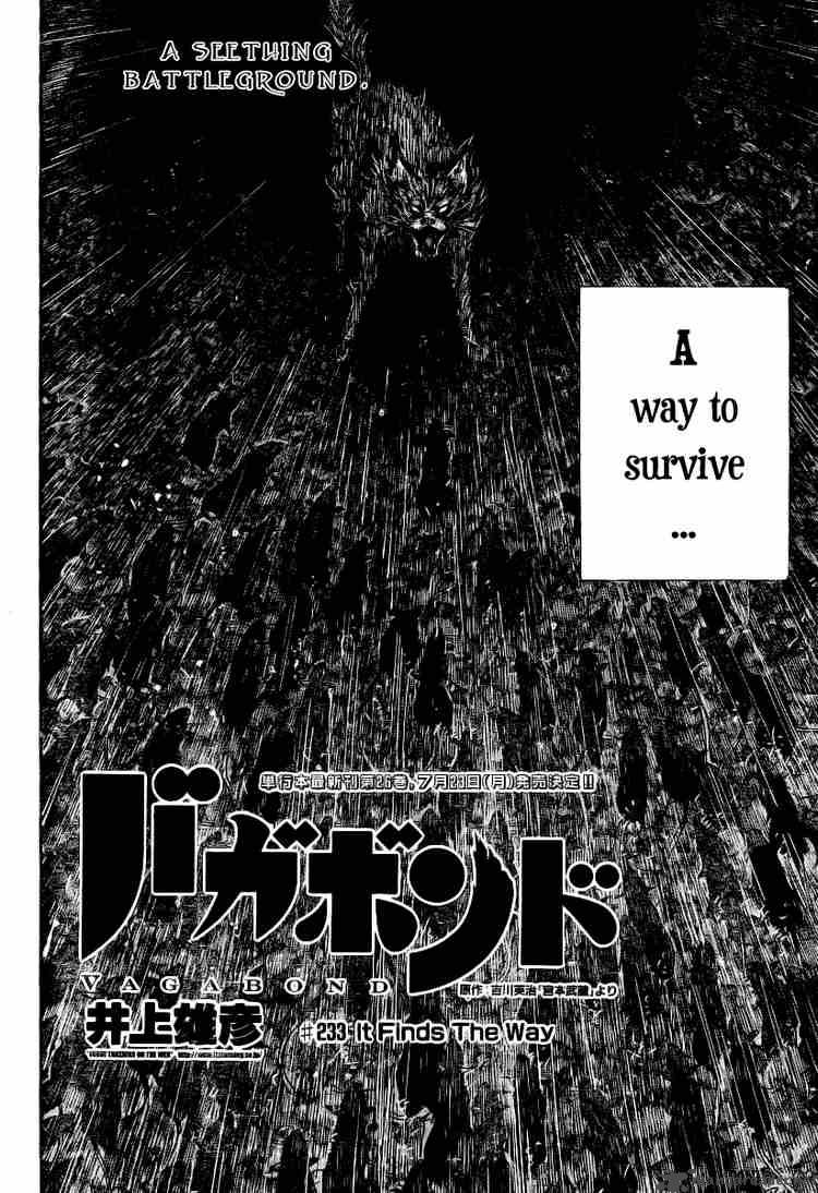 Vagabond 233 3