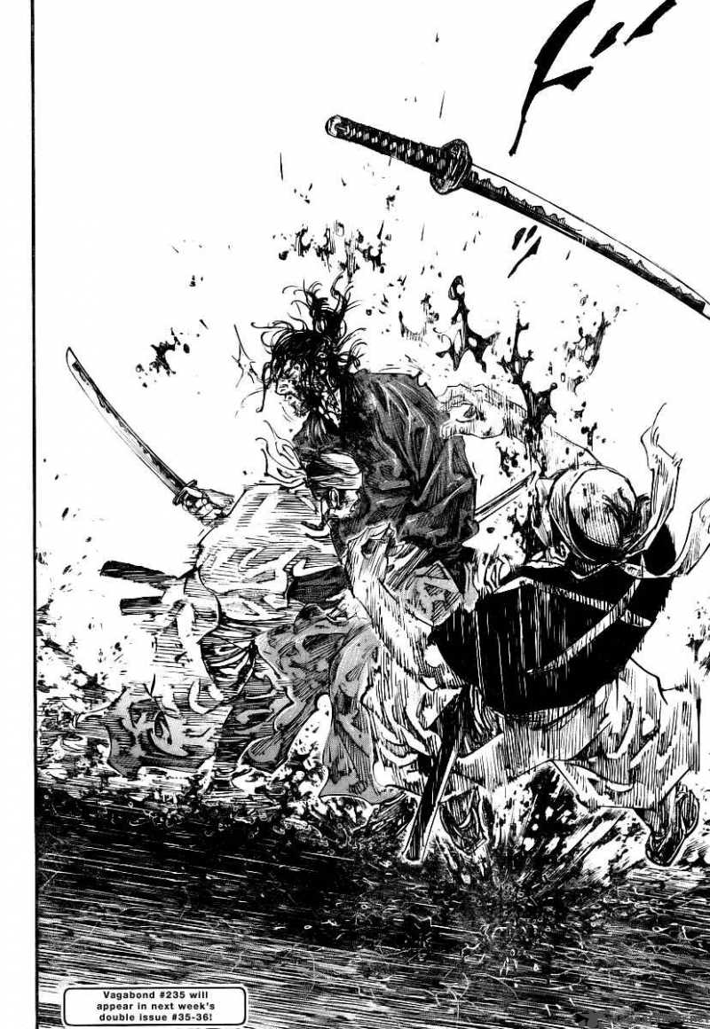 Vagabond 234 17