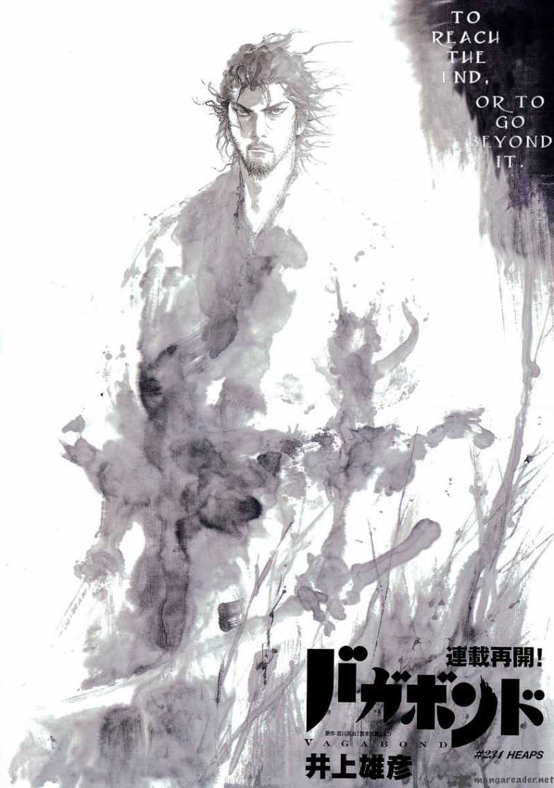 Vagabond 234 3