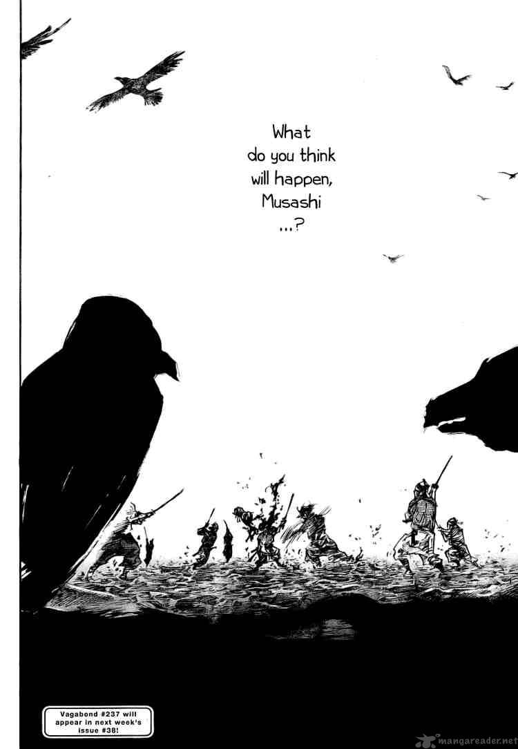 Vagabond 236 18