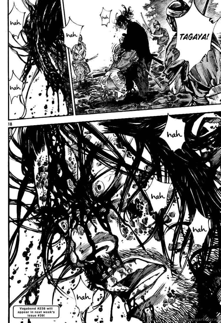Vagabond 237 16