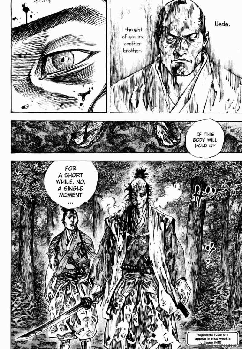 Vagabond 238 18