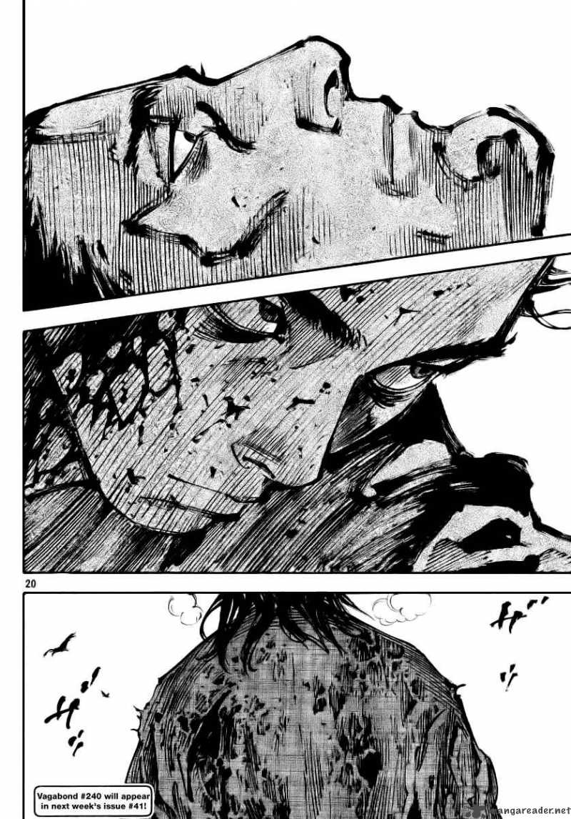 Vagabond 239 19