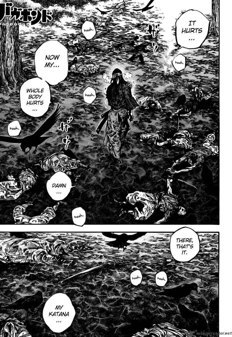 Vagabond 240 1