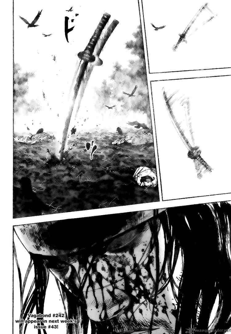 Vagabond 241 19