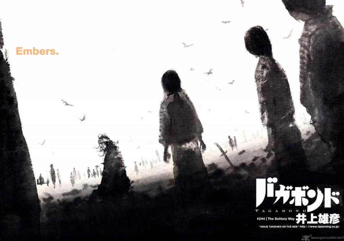 Vagabond 244 3