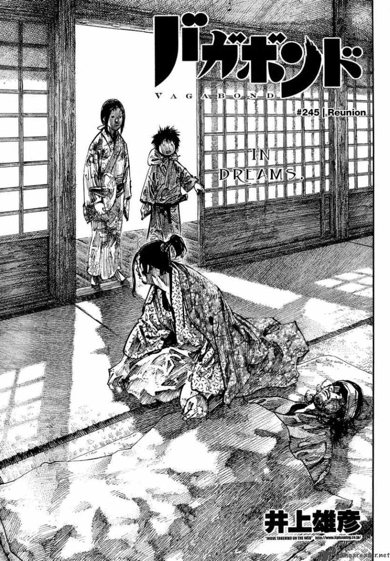 Vagabond 245 1