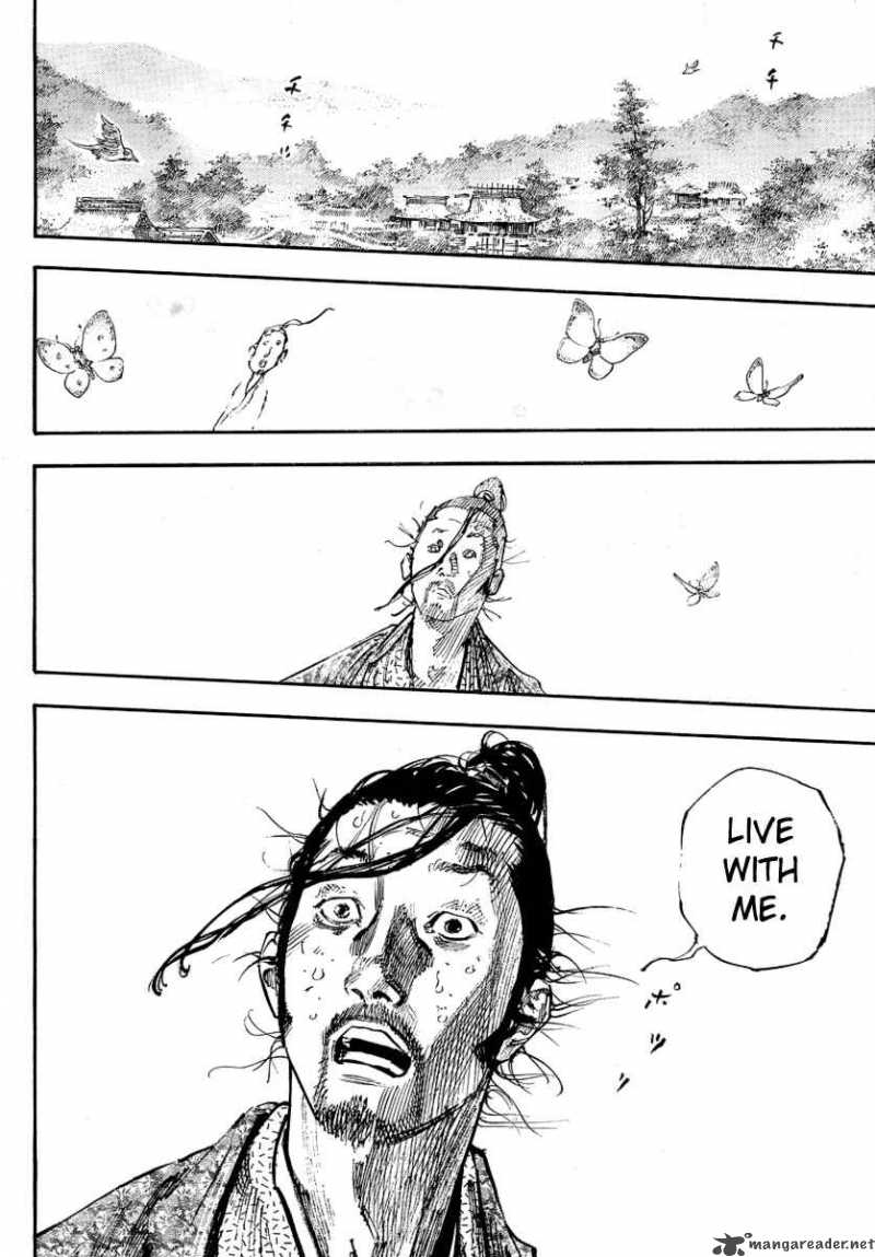 Vagabond 245 4