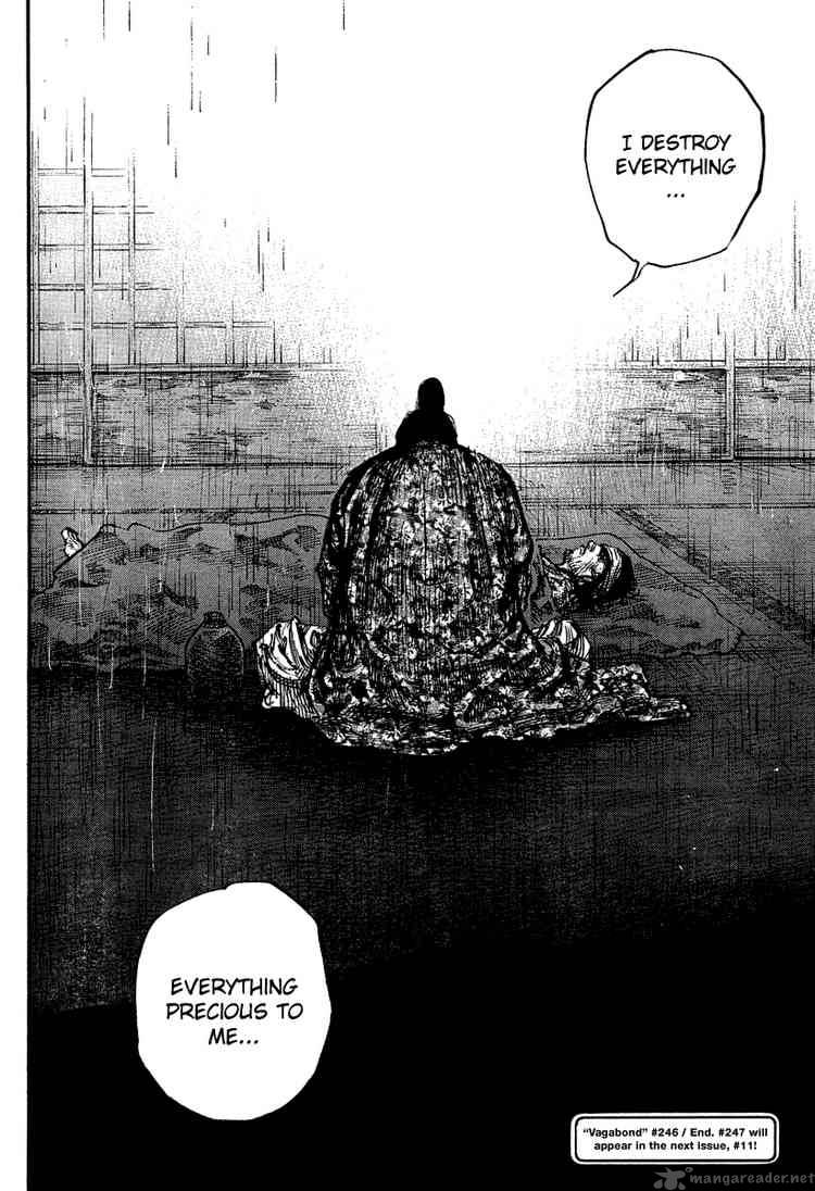 Vagabond 246 16