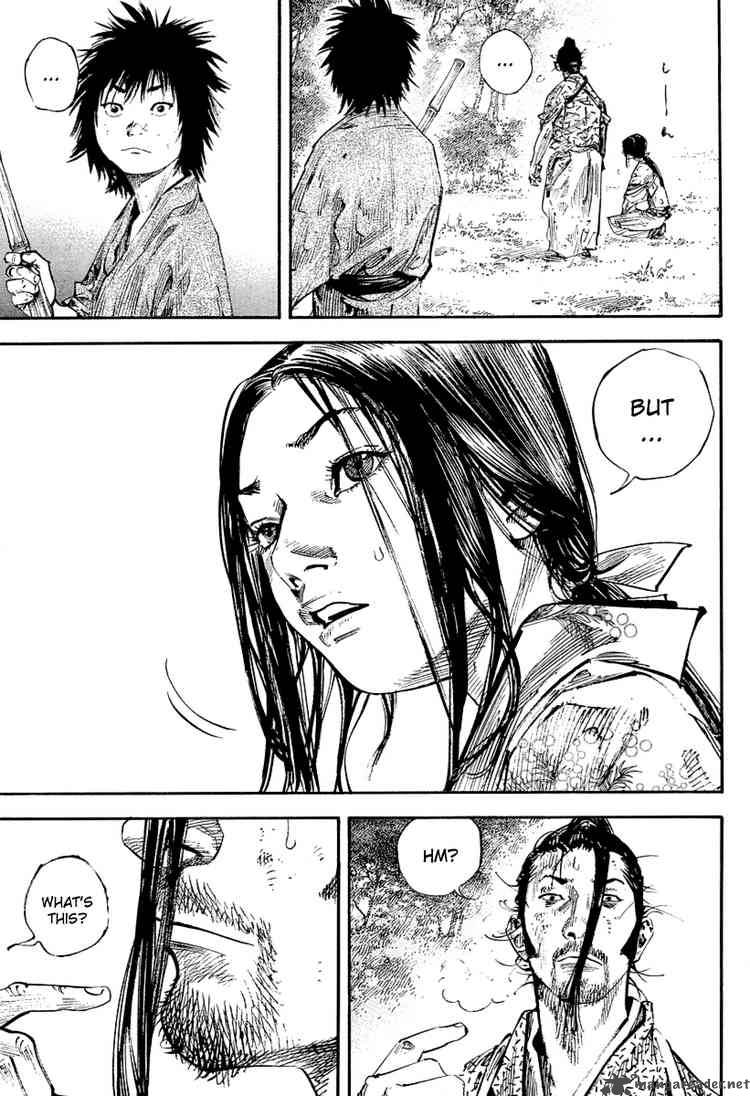 Vagabond 246 3